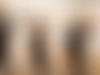 Учесници рада Дунавске комисије посетили Сентандреју