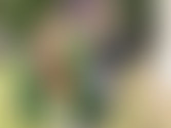 ФОТО-ГАЛЕРИЈА СНН-а: Прослава Врбице у Бати и Дески (Мађарска)