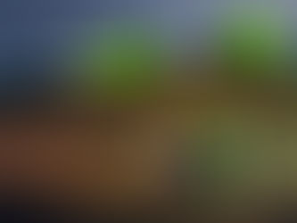 Најављен пад цена горива у Мађарској