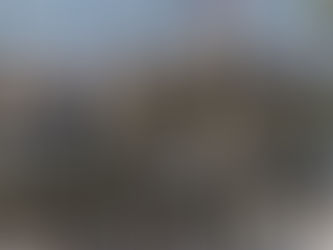 Орбан одбацио могућност увођења обавезног војног рока