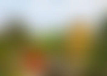 Влада: Сарадња са Кином приликa, не ризик