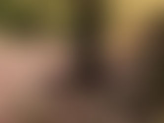 Орбан: Европа да промени стратегију, од рата према миру