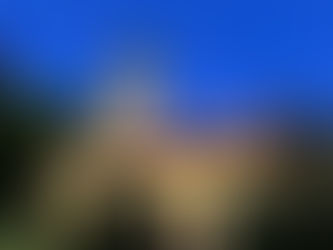 Саопштени подаци са последњег пописа становништва