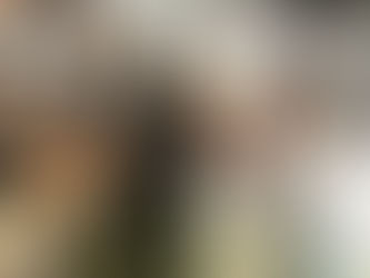 Из осмог овогодишњег броја: НОВИ КОНТАКТИ И САРАДЊА СА СУНАРОДНИЦИМА У РЕГИОНУ