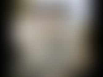 Критике на рачун Словачке