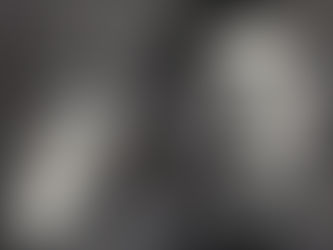 Пекић: Писац који је живео на леду (3)