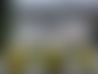 Опозиција: Нуклеарка још није осигурана