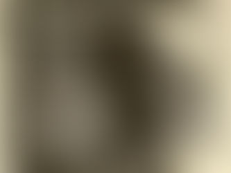 Пекић: Писац који је живео на леду (1)