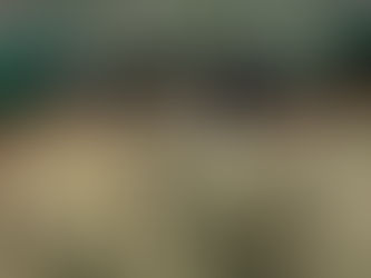 Кајари о мађарској мисији на Косову