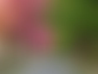 Пештарења: Месец уздаха и наде