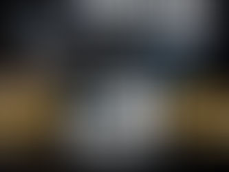 Фебруарска ЈУ журка у Будимпешти