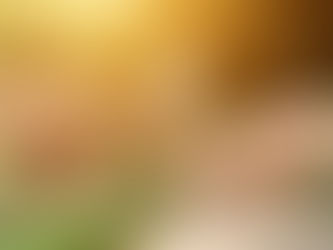 Prof. dr Robert Novak: “Rane” – priča o tišinama koje nismo primetili