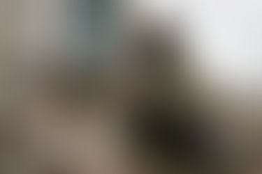 Најављени нови Орбанови потези ради постизања мира