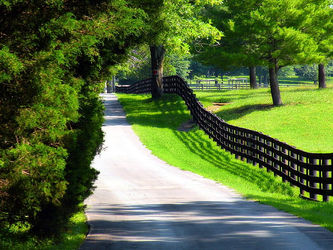 Пештарења: Лету у загрљај
