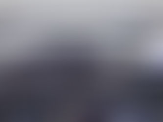 ЕП се придружује се оспоравању закона