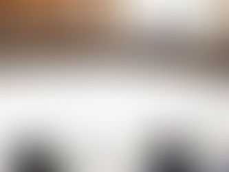 Председник Србије примио сународнике из региона