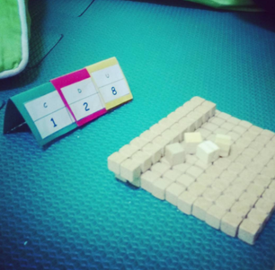 Construindo conceitos Lógico Matemáticos.