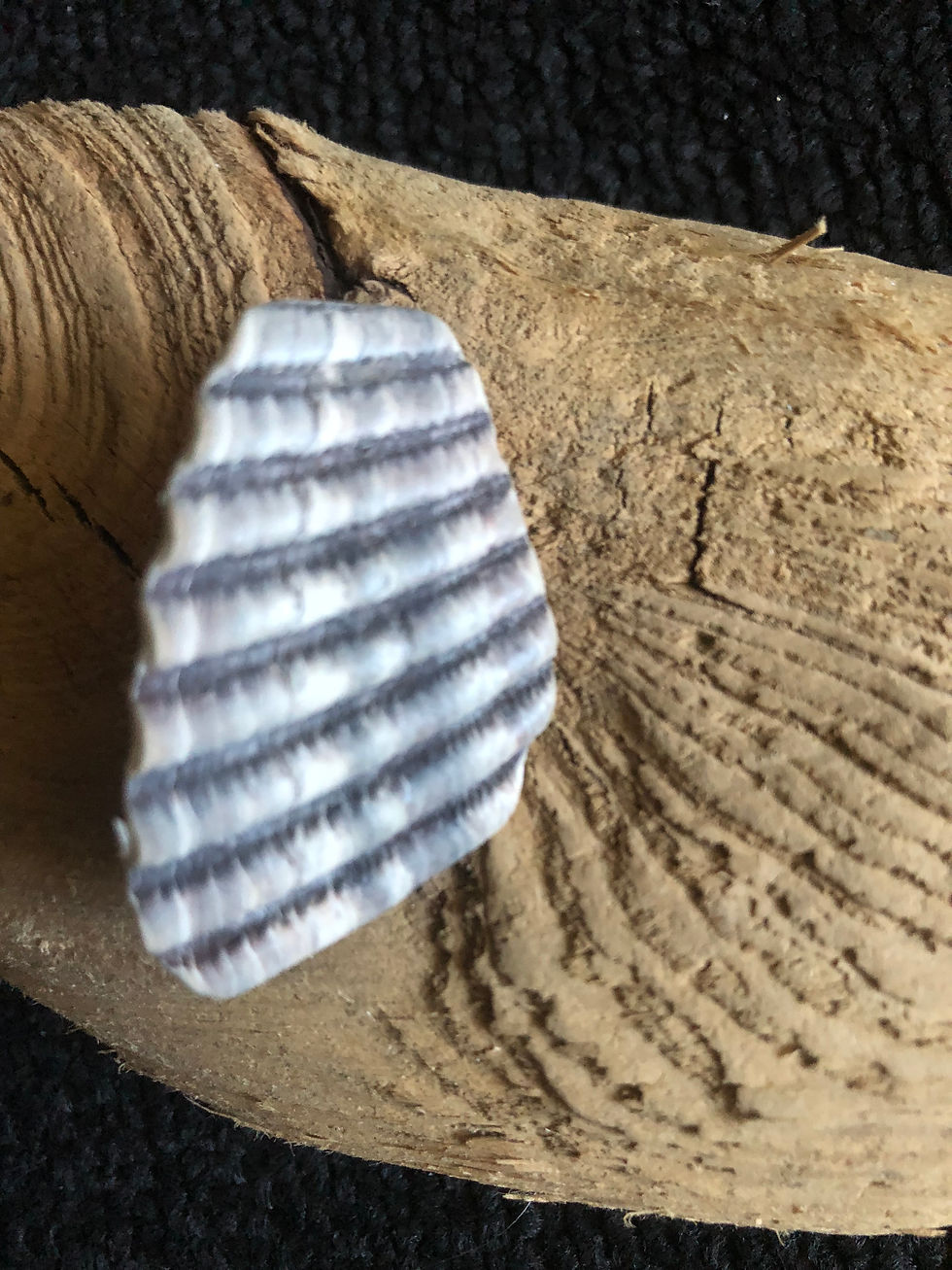 Thumbnail: Seaglass and Shell Pins—  click image for more selections 