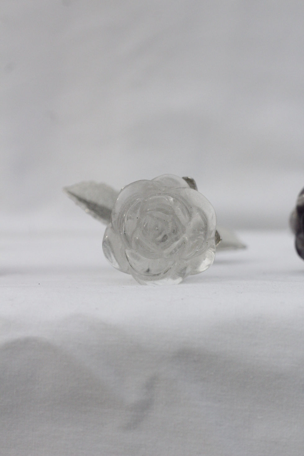 Thumbnail: Roses (singles)