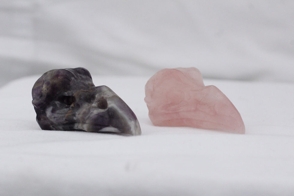 Crystal Raven Skulls