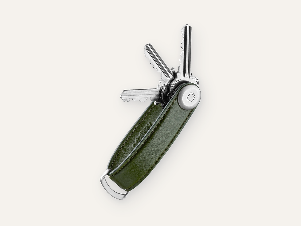 Orbitkey Key Organizer Cactus — Cactus Green product tile