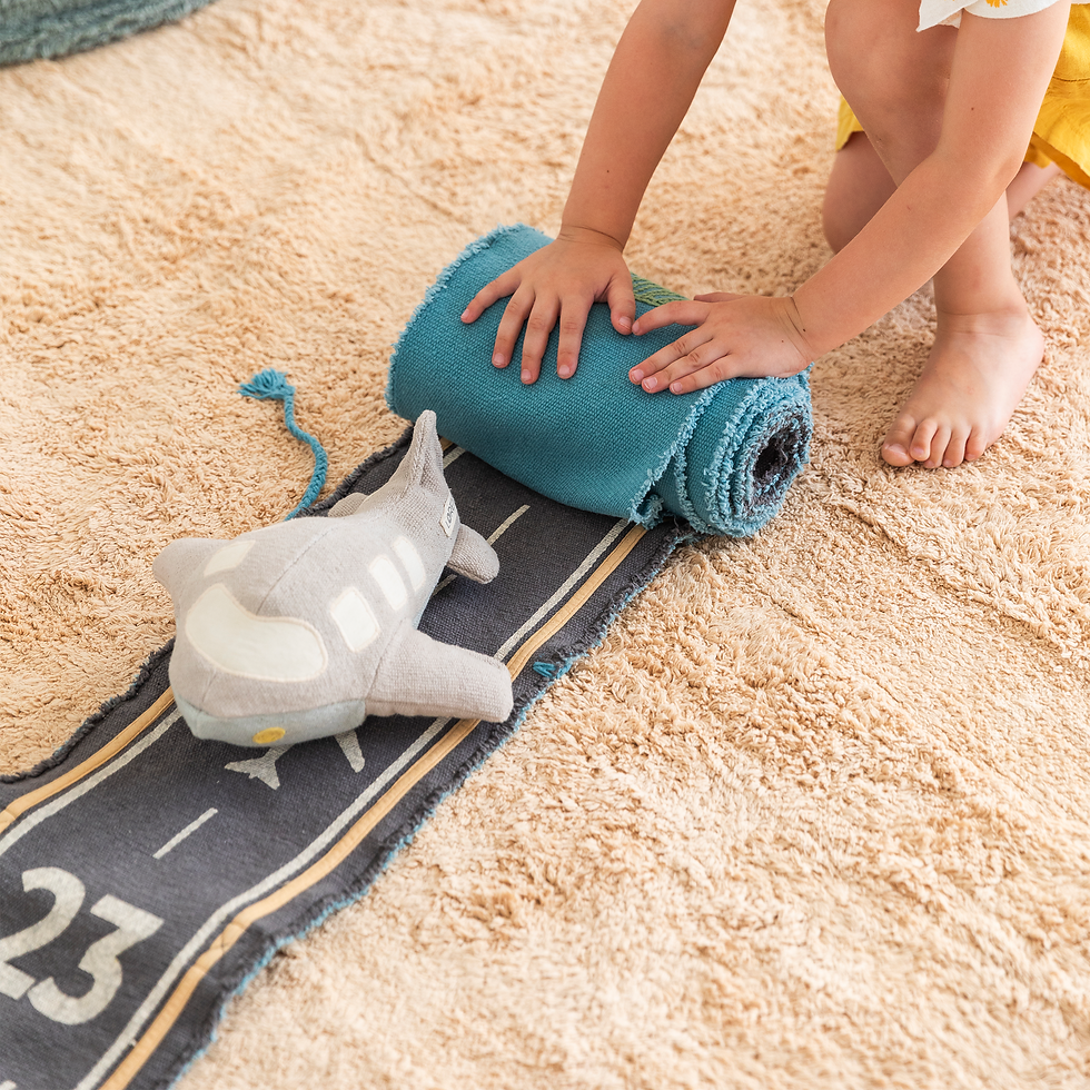 Ride & Roll (Airplane)