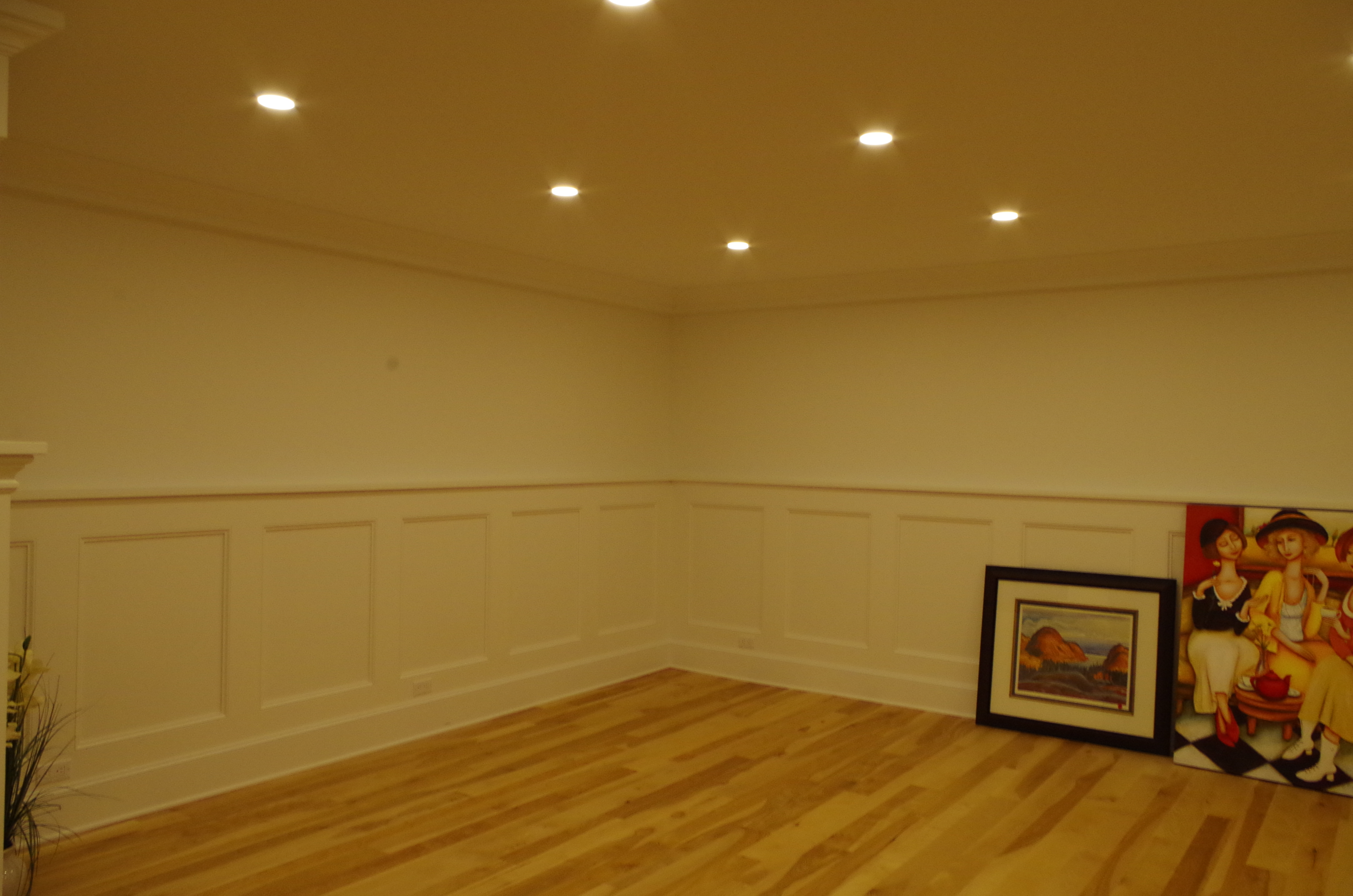 paneled wall ,led pot lights