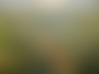 令和7年産新米 販売開始します!