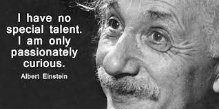 "I have no special talents. I am only passionately curious."