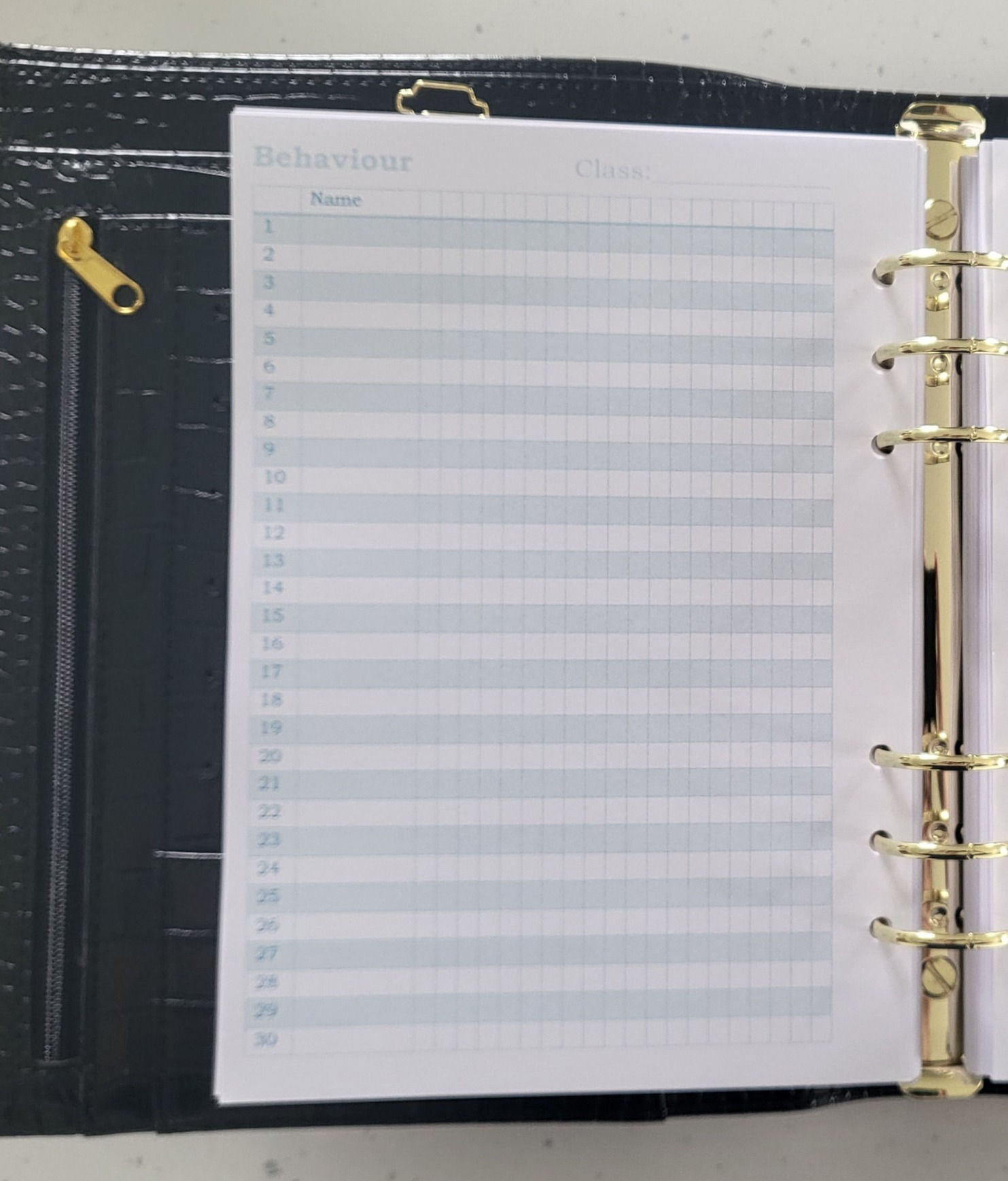 Behaviour Tracker ; A5 Printed Teacher Insert (English or Gaeilge)