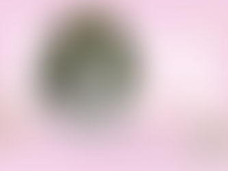 2026年スタート！