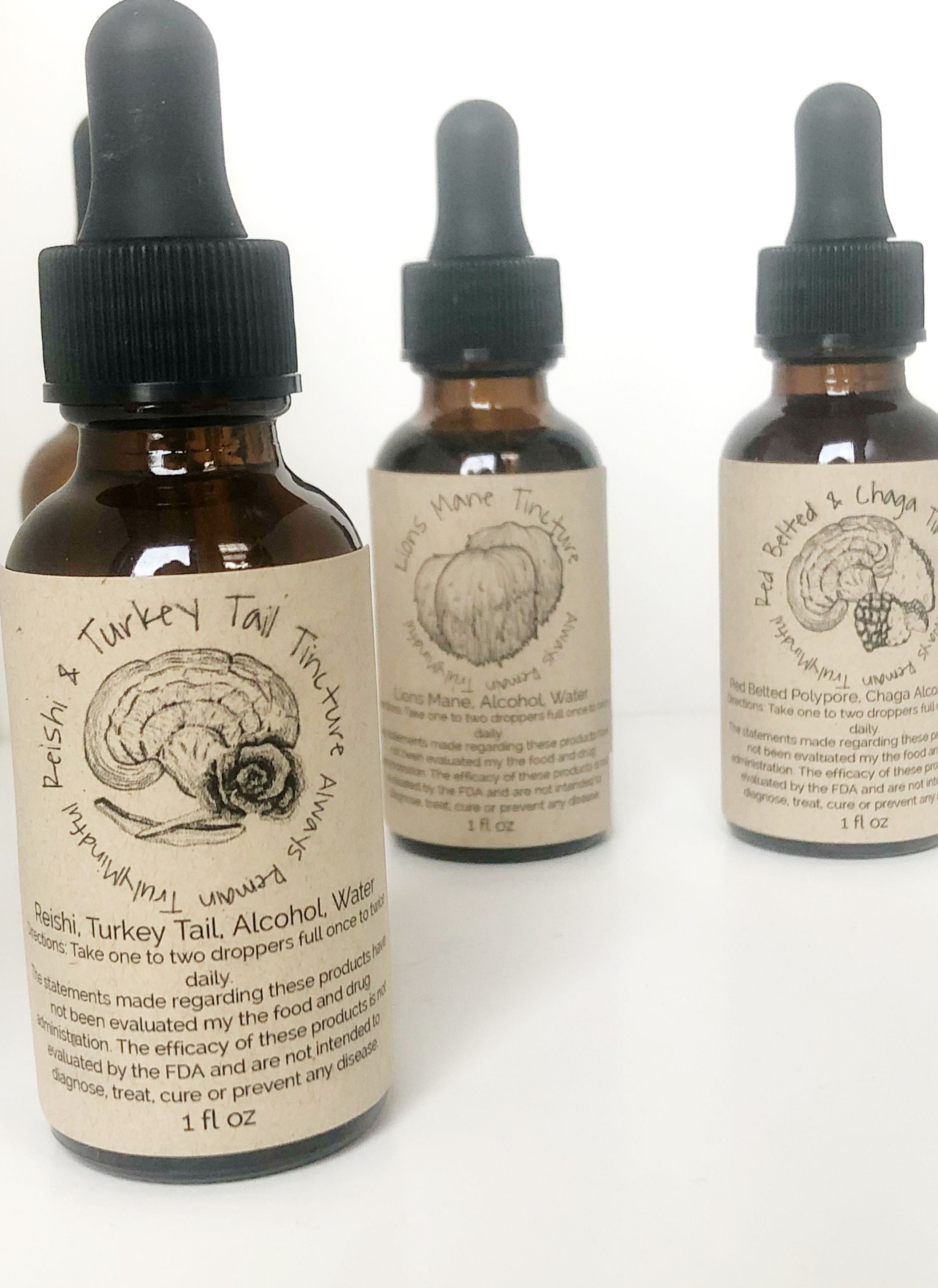 Reishi & Turkey Tail Tincture