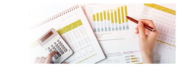 SuiteSolution Consulting