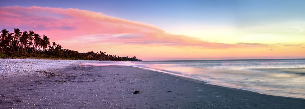 Shutterstock_791801059.jpg