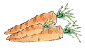 Image of Carrot bundle icon