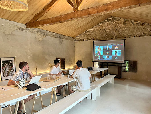 HDS-reunion-visio