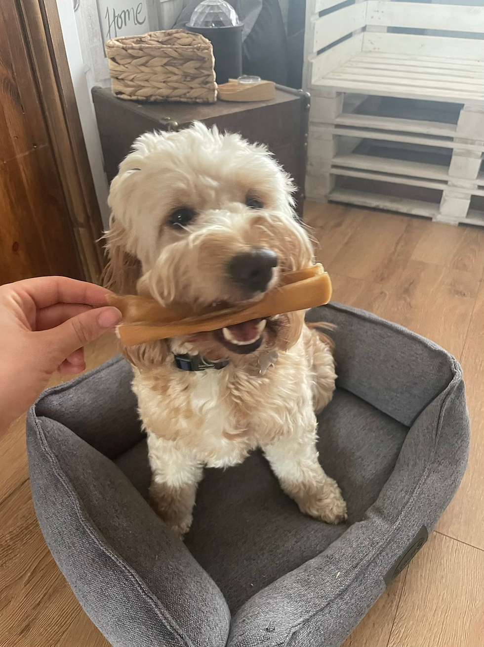Thumbnail: Perfect puppy Natural treats box 