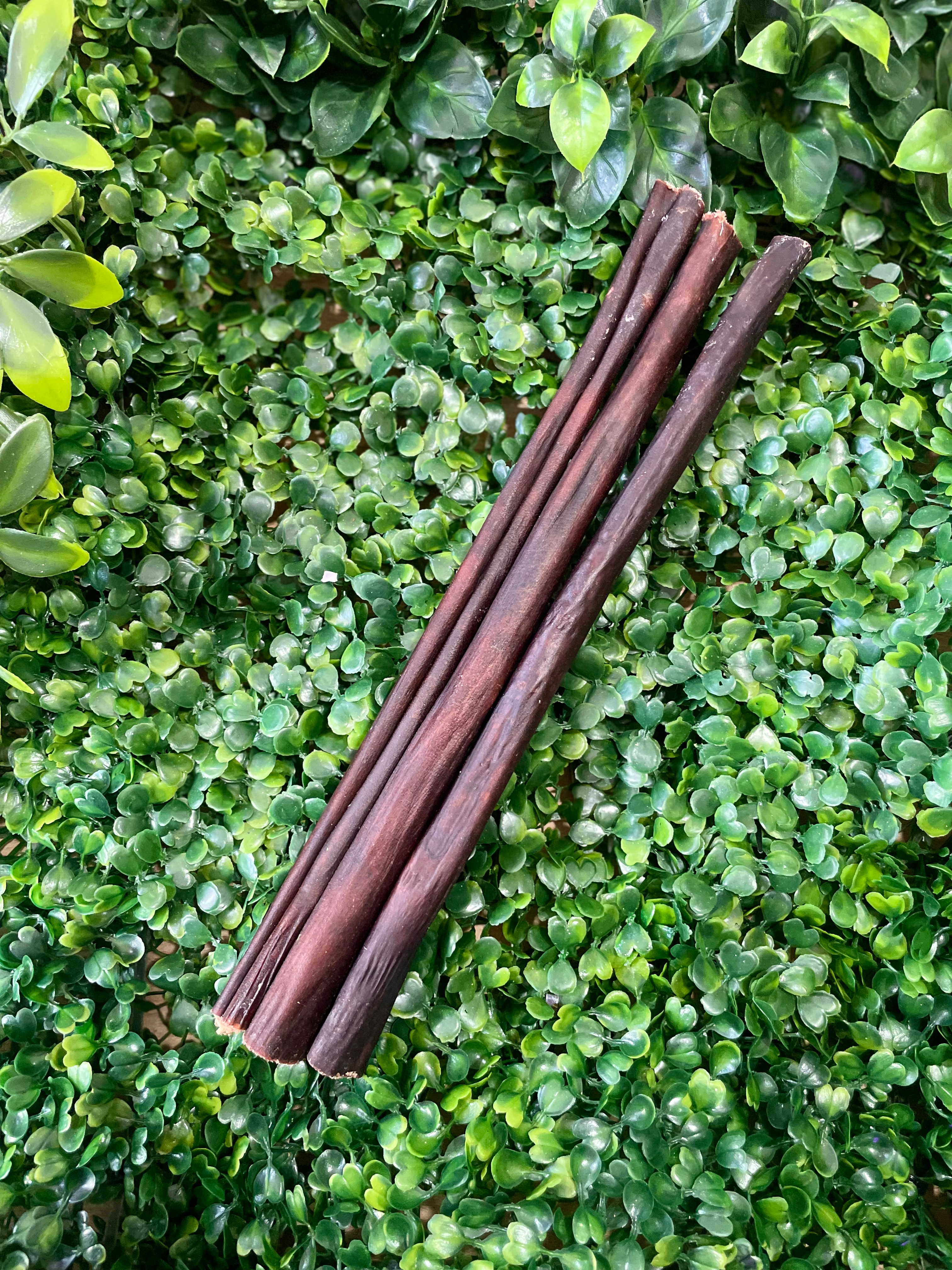 Pizzle Stick Filled with Collagen Large