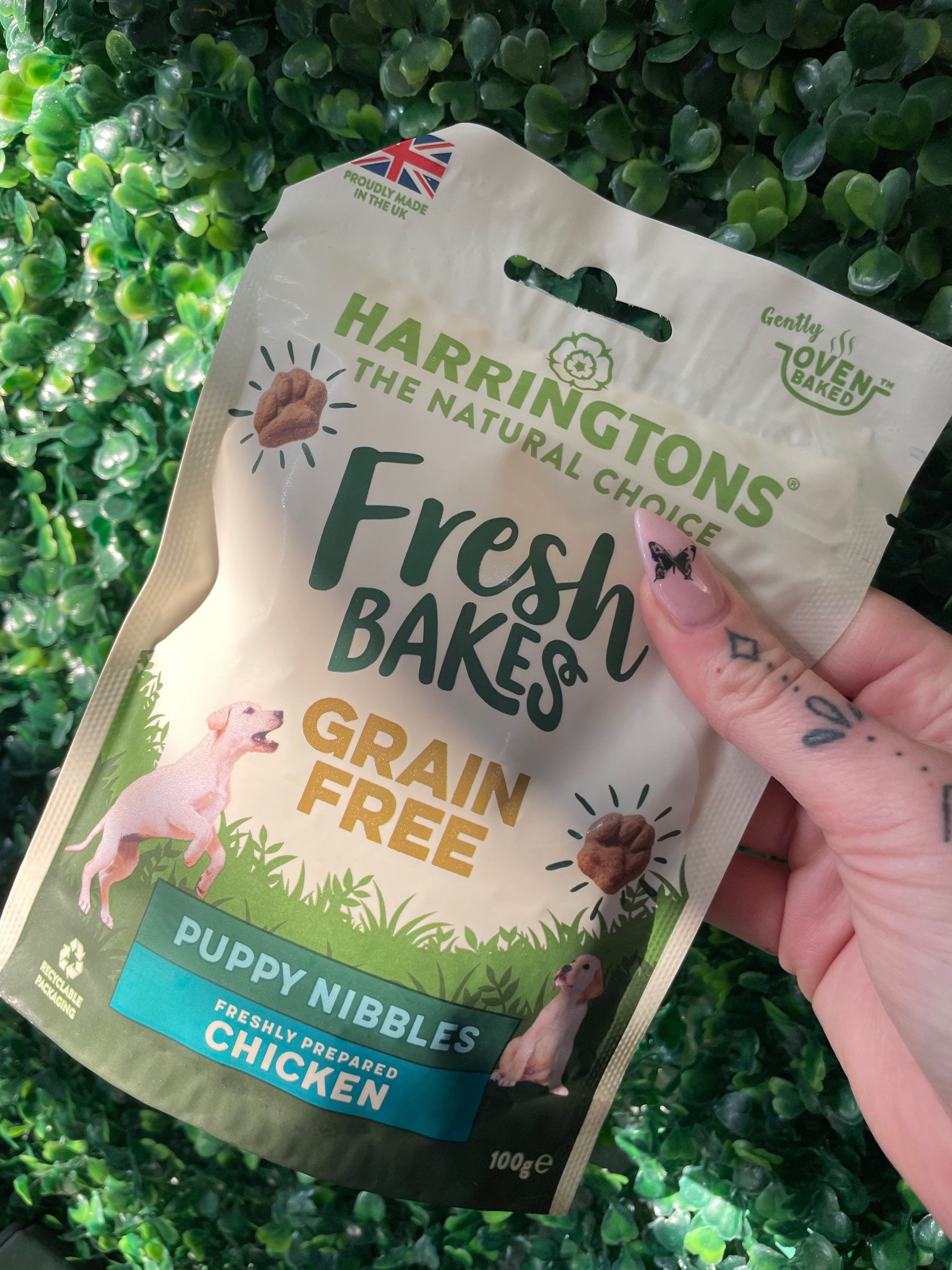 Harringtons Puppy Chicken Nibbles