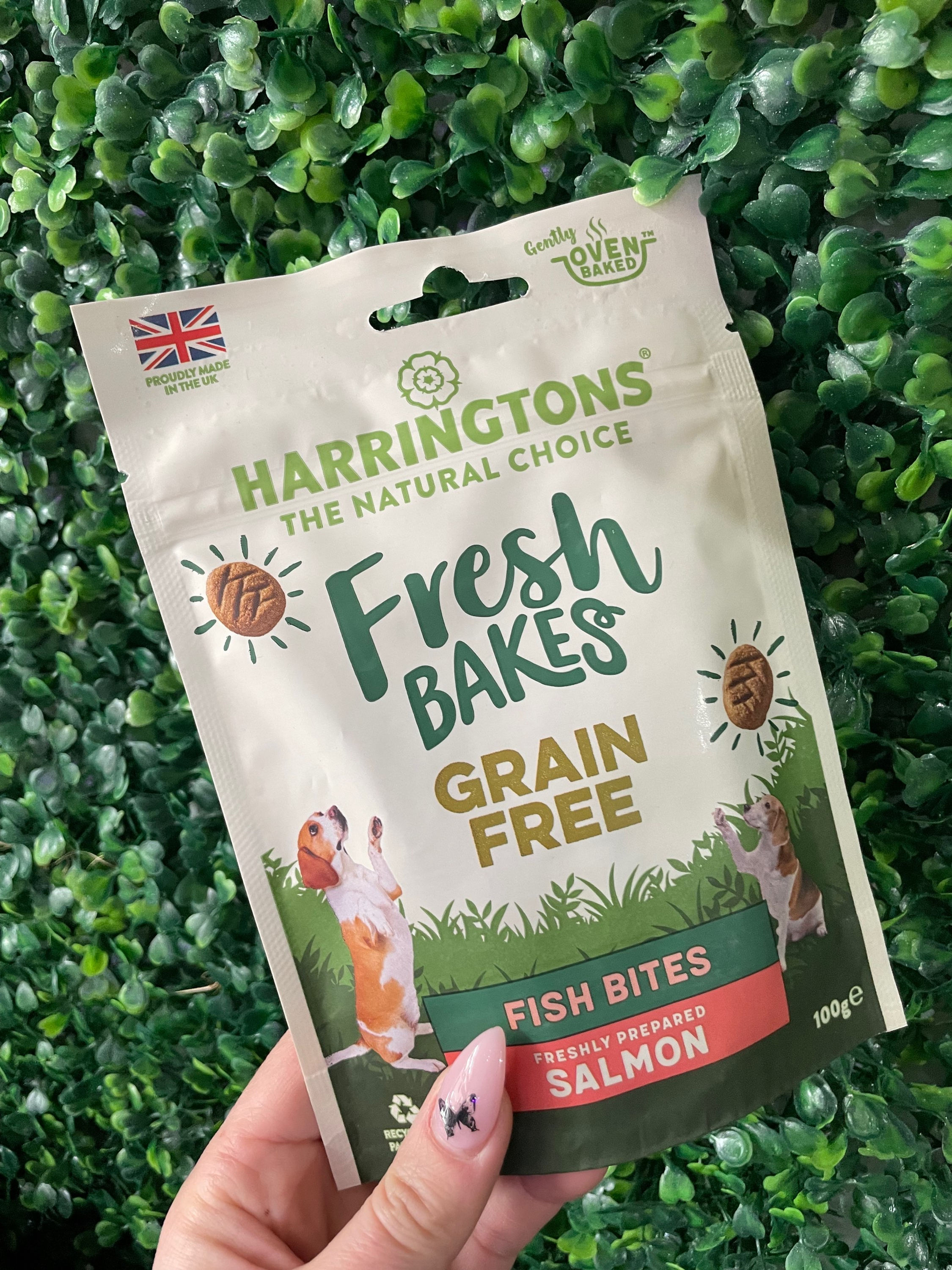 Harringtons Salmon Fish Bites 