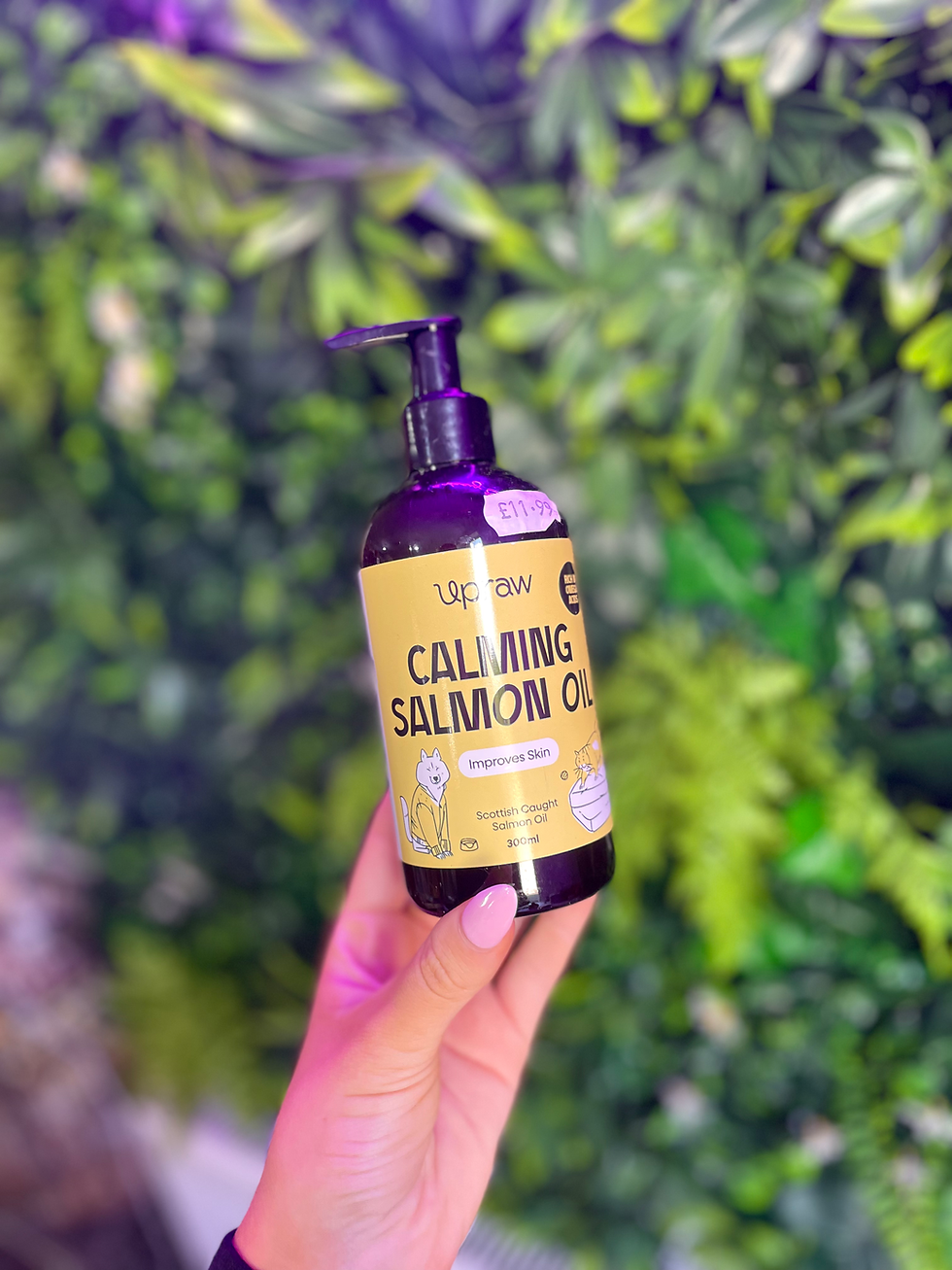 Thumbnail: Calming Salmon Oil