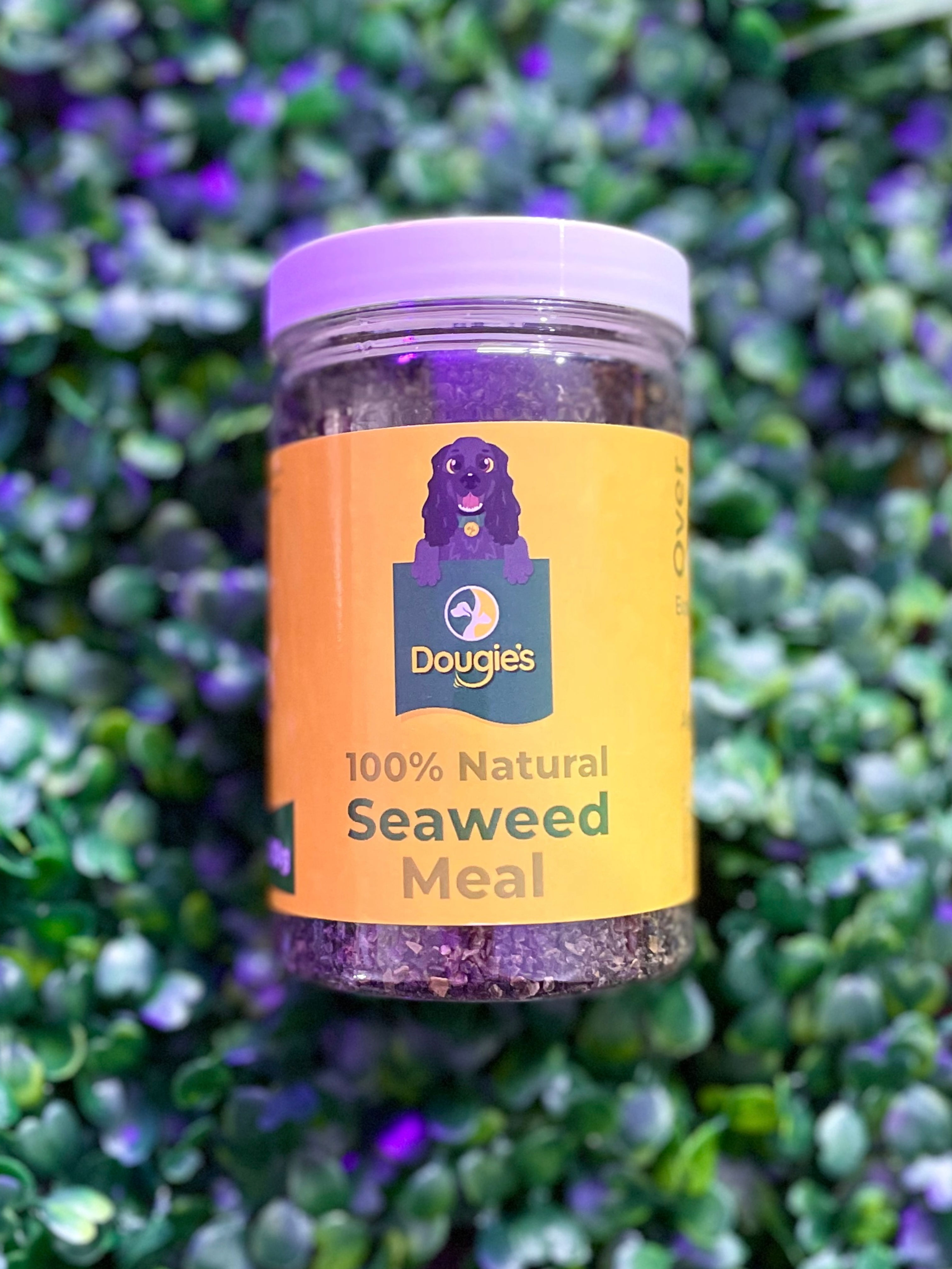 Seaweed Meal