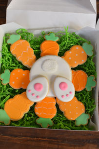 bunny butt and carrots.JPEG
