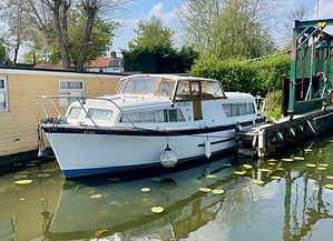 Broom Skipper 30