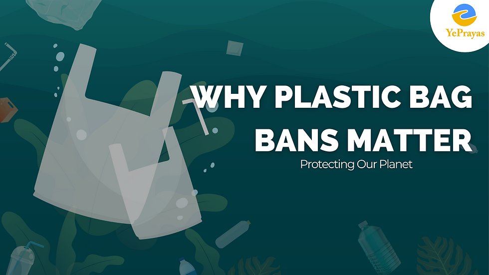 Why Plastic Bag Bans Matter Protecting Our