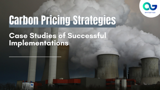 Carbon Pricing Strategies: Case Studies of Successful Implementations
