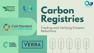 Building Trust in Carbon Registries: Certification and Accreditation