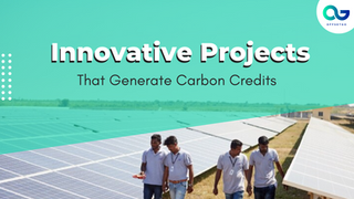 Innovative Projects That Generate Carbon Credits