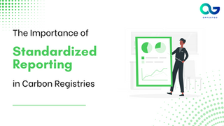 The Importance of Standardized Reporting in Carbon Registries