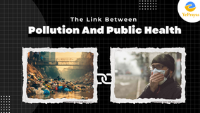 The Link Between Pollution and Public Health